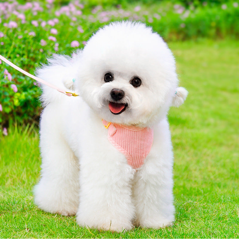 The Perfect Pet Leash and Harness Set for Outdoor Adventures